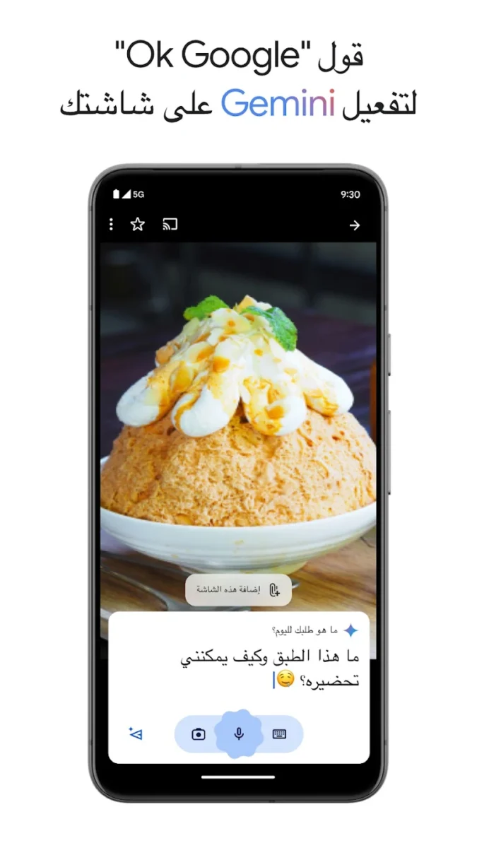 تطبيق Google Gemini