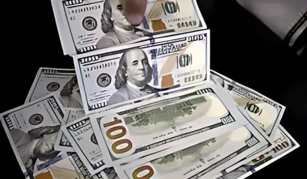 سعر الدولار مقابل الجنيه المصري اليوم الثلاثاء 12 نوفمبر 2024: تراجع طفيف مع ترقب لقرارات المركزي