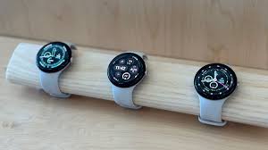 Pixel Watch Performance Loop Band