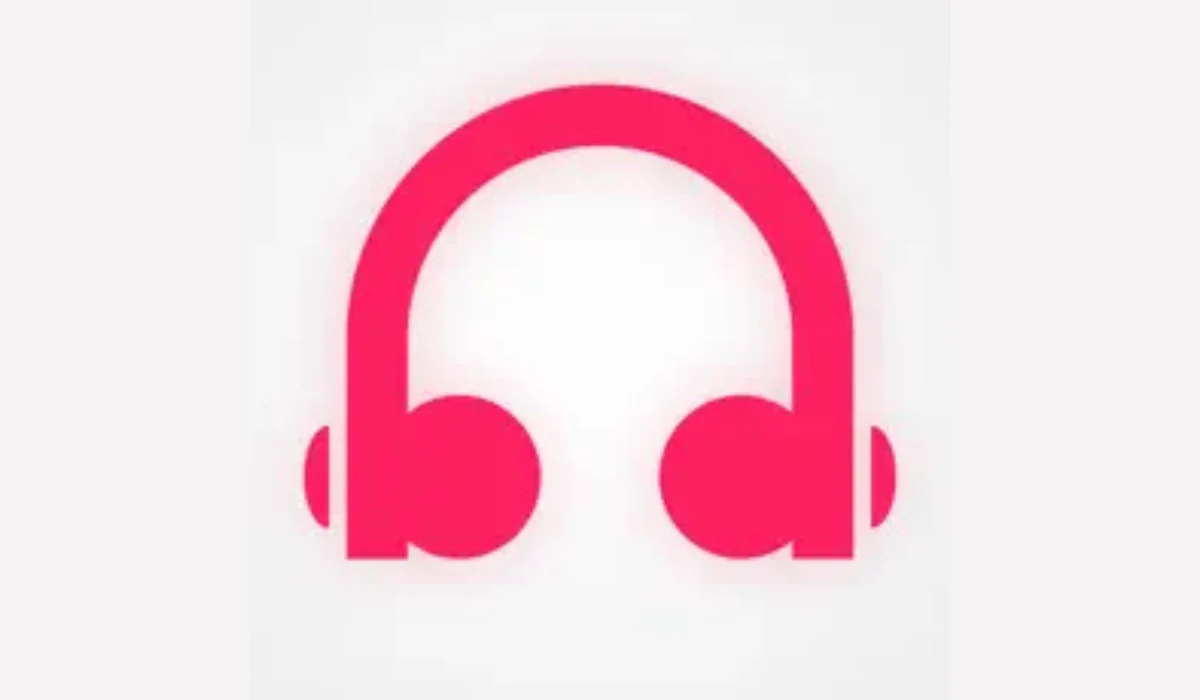 مراجعة تطبيق Tubidy Fm: مشغل الموسيقى الأمثل لمحبي الأغاني