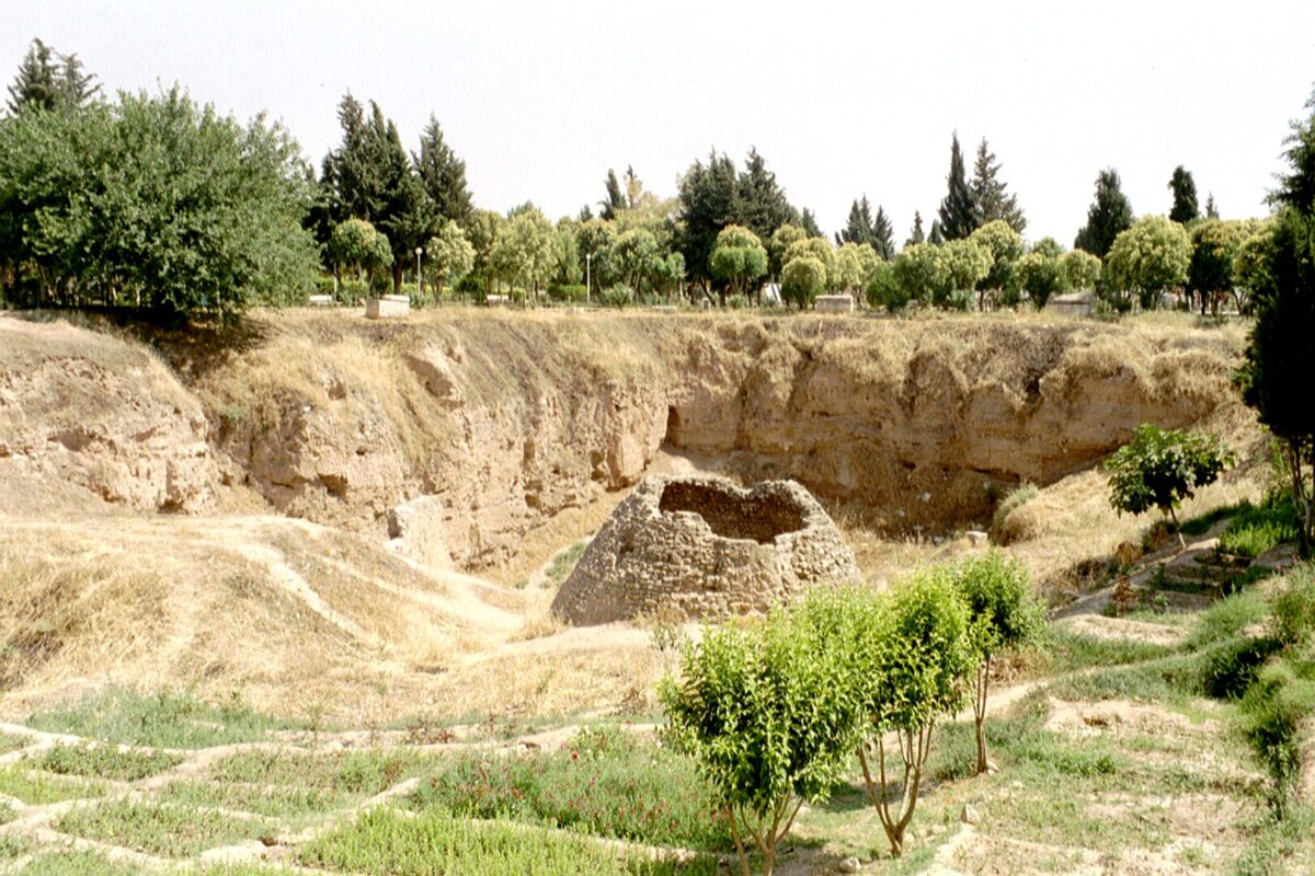 قلعة حماة