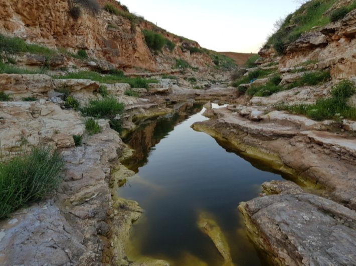 نهر اليرموك