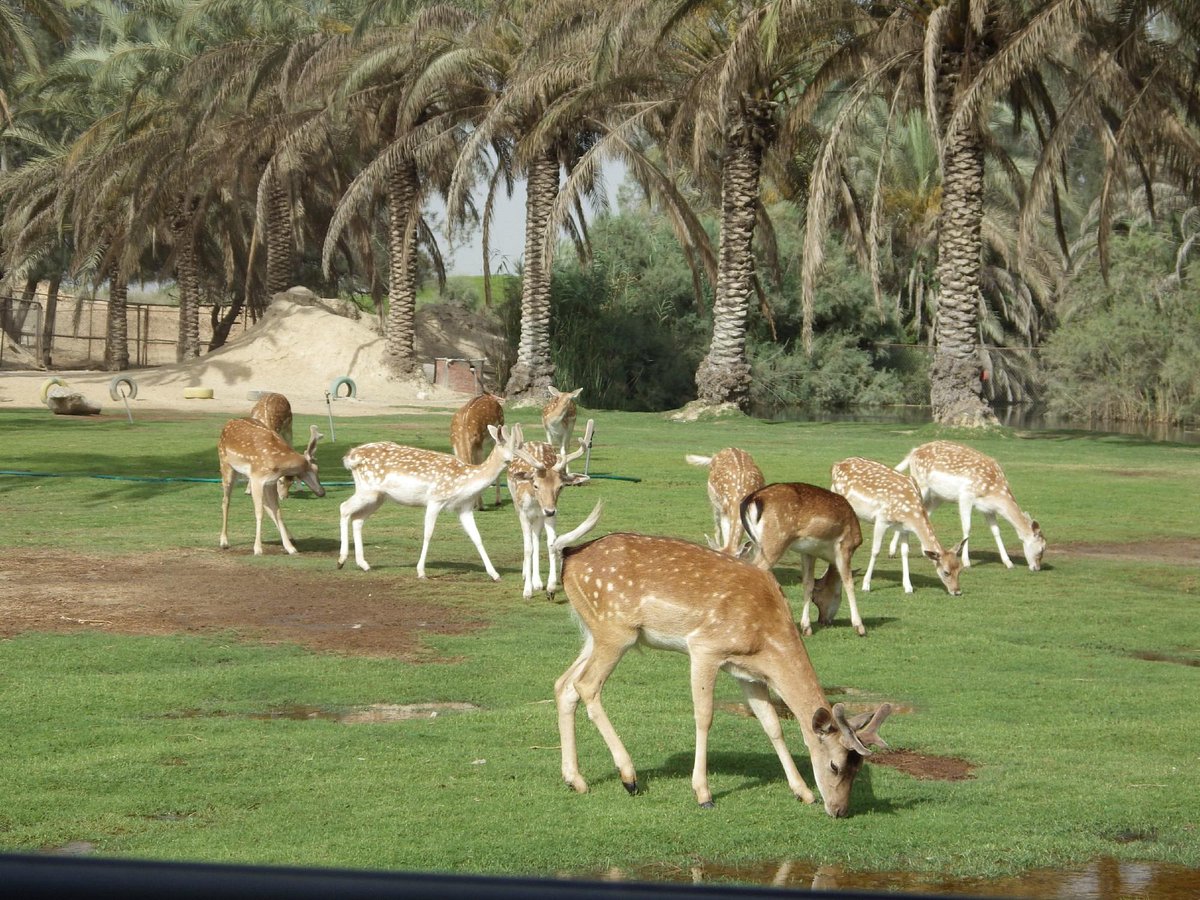Africa Safari Park
