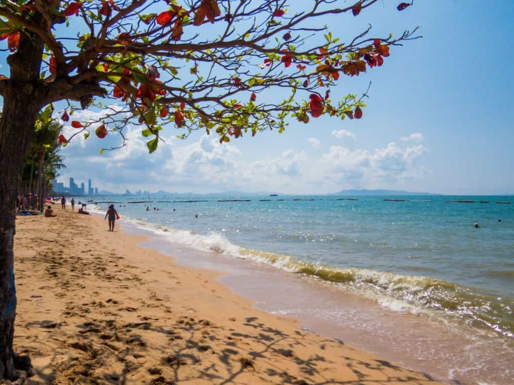 شاطئ دونغتان Dongtan Beach
