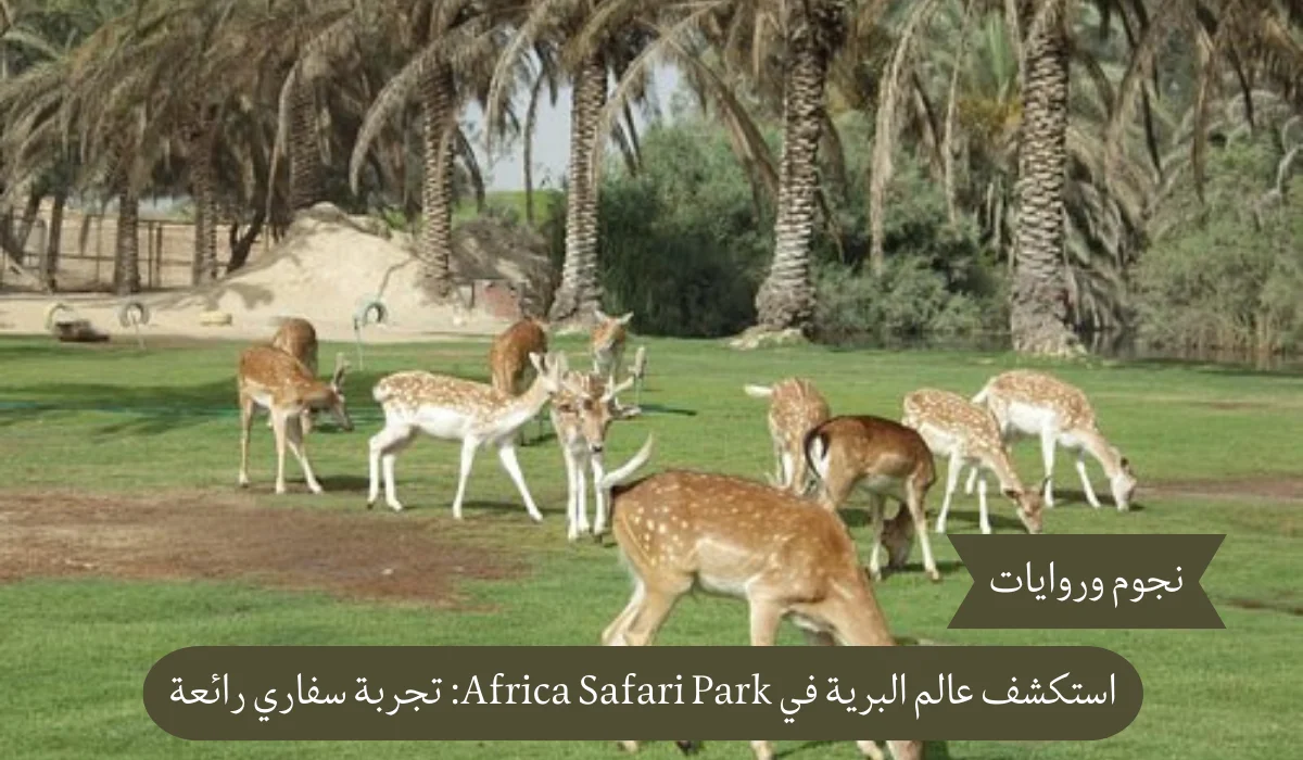 تجربة سفاري لا تُنسى: استكشف عالم البرية في Africa Safari Park