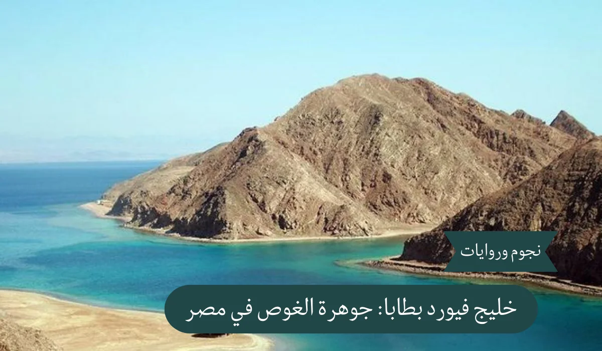 خليج فيورد بطابا: جوهرة الغوص في مصر