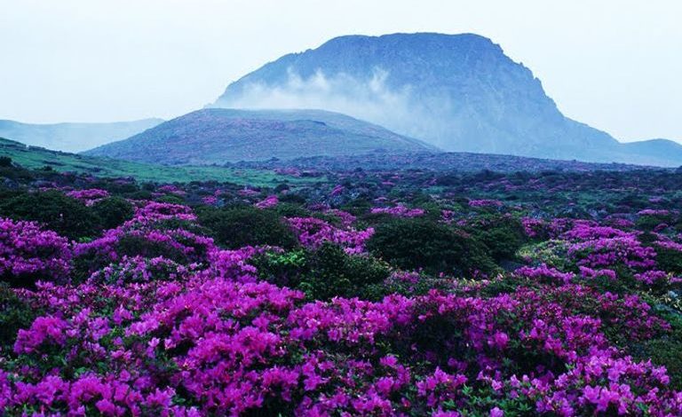 حديقة هالاسان الوطنية