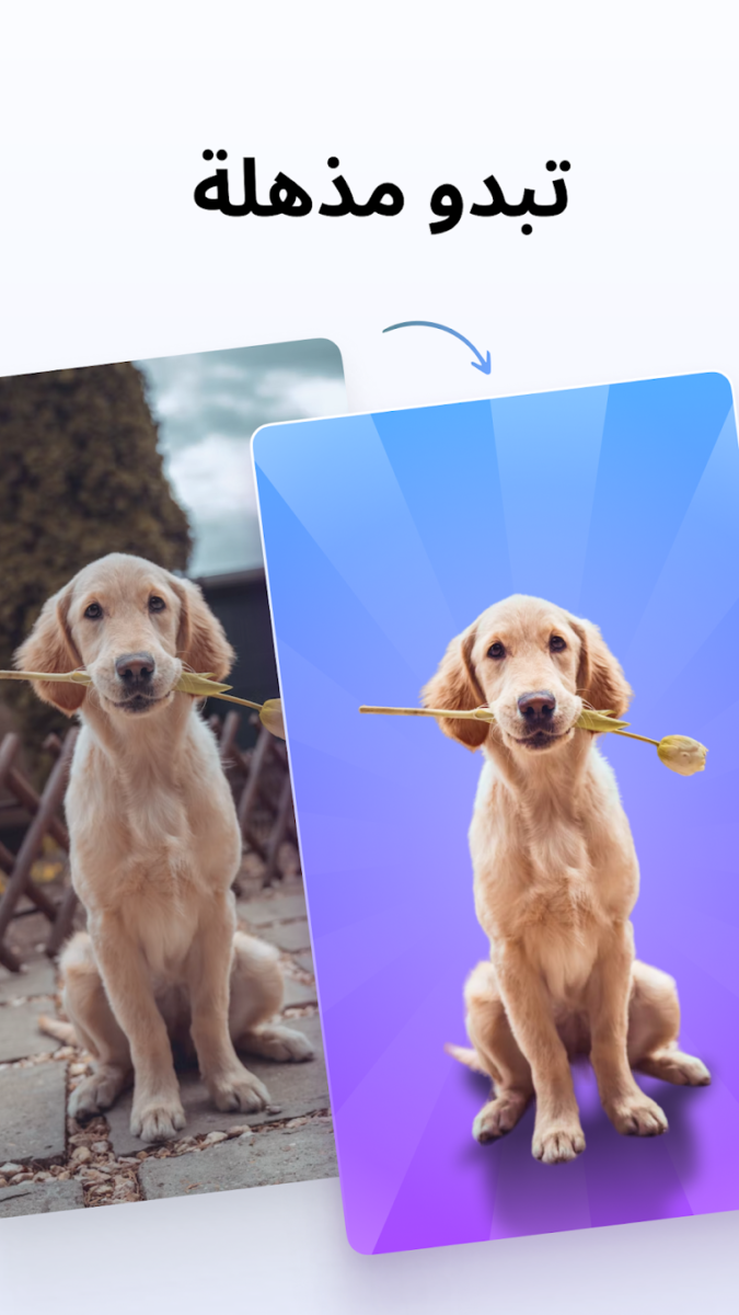 تطبيق Photoroom
