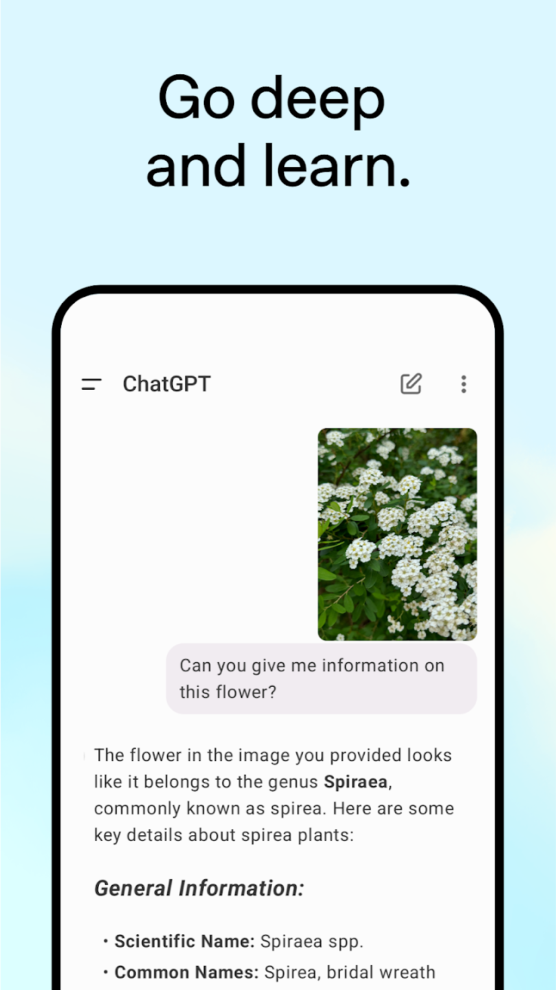 تطبيق ChatGPT